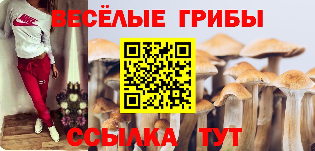 Галлюциногенные грибы мухоморы  Галлюциногенные грибы ЛСД  Кострома  Вход с VPN 